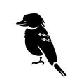Kookaburra Icon Vector Royalty Free Stock Photo