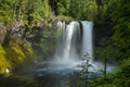 Koosah Falls in Mc kenzie pass, Oregon.