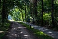 Kootwijk, Gelderland, The Netherlands, Elderly couple driving through the dark woods of the Veluwe, Netherlands