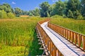 Kopacki Rit marshes nature park wooden boardwalk view Royalty Free Stock Photo