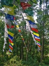 Kopan Monastery, Kathmandu, Nepal - May 21st 2019: Praying buddhist flags in Kopan hill, Kathmandu