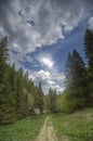 Kopaonik mountain in Serbia