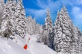 Panorama of ski resort Kopaonik, Serbia Royalty Free Stock Photo