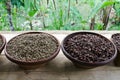 Kopi luwak Royalty Free Stock Photo