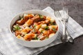 Kopytka Polish dumplings or little hooves made of mashed potatoes served with meat with gravy close-up in a plate. Horizontal