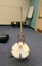 Kora - West African stringed instrument