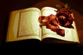 The Koran with a rose