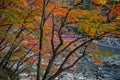 Korankei in autumn season.