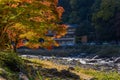 Korankei Valley In autumn, Riverside with rocks and grass outside of Toyota city