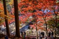 Korankei Valley in the Taigetsu Bridge area. Many tourists are watching the red leaves in autumn. Th