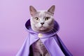 Korat Cat Dressed As A Superhero On Lavender Color Background
