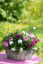 Basket with summer flowers Royalty Free Stock Photo