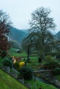 Kordel, Rhineland-Palatinate - Germany - 04 14 2019 - Foggy view over the backyards, gardens and traditional houses in the Kyll