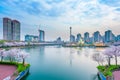 Korea cityscape with Lotte world and Cherry Blossom. Royalty Free Stock Photo