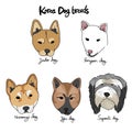 Korea dog breed cartoon chart illustration Royalty Free Stock Photo