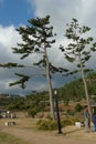 Korea Jeju Island Jeju-do outdoor recreation hiking trail