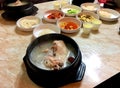 Korea Jeju Island Korean Cuisine Korean Gingseng Chicken Soup Samgye-tang Pickled Veggie Kimchi Cabbage Spinach Mushroom Side Dish
