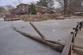 Korea nami Island pond frozen Koisk