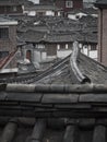 Korea roof