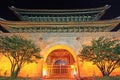 Korea Seoul Heunginjimun Gate Royalty Free Stock Photo