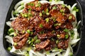 Korean BBQ Maekjeok, Doenjang Marinated Pork. Asian party food.
