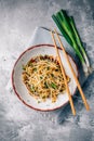 Korean bean sprout salad - spicy mung bean sprouts salad with garlic, sesame seeds, green onions and soy sauce Royalty Free Stock Photo