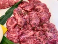 Korean beef barbecue grill sampler - skirt steak Royalty Free Stock Photo