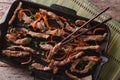 Korean bulgogi beef with carrot on grill pan closeup. horizontal