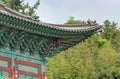 Korean dragon roof