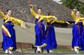 Korean ethnic dance performance