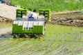 The Korean farmer rides riding type power driven rice transplanter to seedling the green young rice onto the rice paddy field