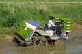 The Korean farmer rides riding type power driven rice transplanter to seedling the green young rice onto the rice paddy field