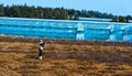 Korean farmer working at greenhouse field