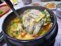 Korean fish soup Royalty Free Stock Photo