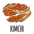 Korean food kimchi. Vintage color vector engraving illustration. Isolated