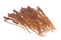 Korean Ginseng Roots Macro Isolated Royalty Free Stock Photo