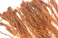 Korean Ginseng Roots Macro Isolated Royalty Free Stock Photo