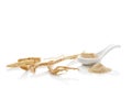 Korean ginseng on white. Royalty Free Stock Photo