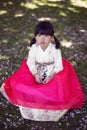 Korean girl child in a national costume walks in a garden with cherry blossoms in spring.