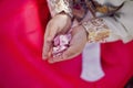 Korean girl child in a national costume walks in a garden with cherry blossoms in spring. holds fallen leaves in his