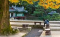 Korean girl sitting at the Pavillion at secret garden