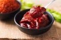 Korean gochujang red chili paste, spicy and sweet fermented