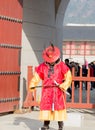 Korean male in ancient soldier costume vertical Royalty Free Stock Photo