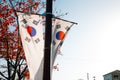 Korean national flag Taegeukgi with autumn maple in Miryang, Korea