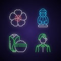 Korean nationals symbols neon light icons set