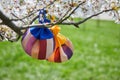 Korean New Year or Seollal. Sebaetdon lucky bag on Cherry blossom tree. Royalty Free Stock Photo