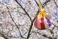 Korean New Year or Seollal. Sebaetdon lucky bag on Cherry blossom tree. Royalty Free Stock Photo