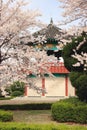 Korean Pavillion in a park near Seoul, Korea. Royalty Free Stock Photo