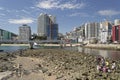 Korean people looking for sea food at Songdo beach