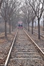 Korean Rail Bike carts activities Royalty Free Stock Photo